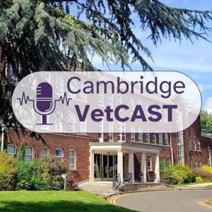 Cambridge VetCAST