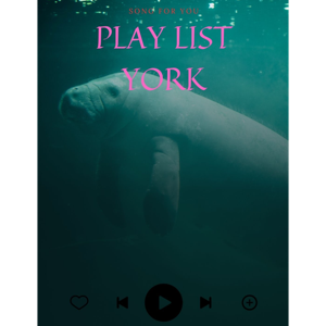 Blue Whale