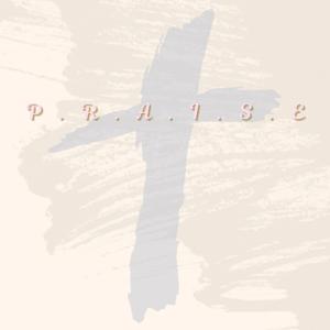 P.R.A.I.S.E