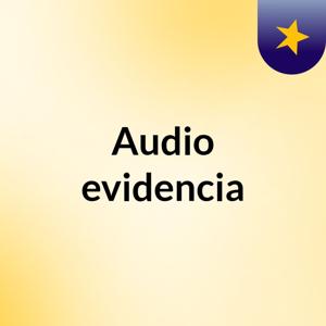 Audio evidencia