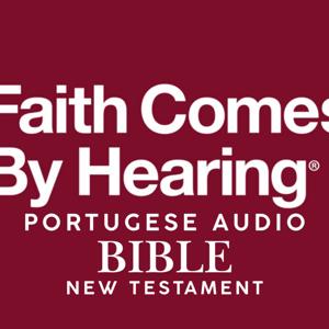 Portuguese Audio Bible New Testament
