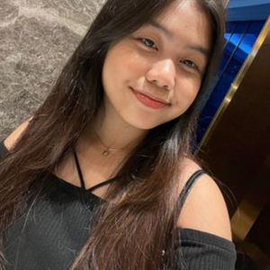 OVERVIEW OF THE THEORISTS