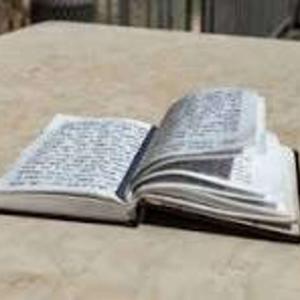 The Sweetness of the Siddur: Tfillah Insights of Chassidic Masters