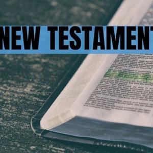 New Testament Survey