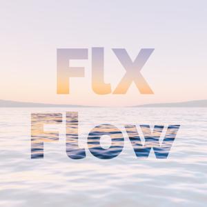 FLX Flow