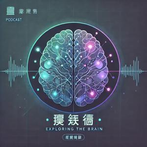 探索脑:Exploring the Brain