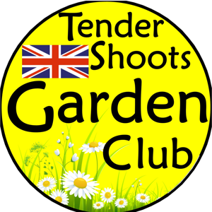 Tender Shoots ZOOM recap