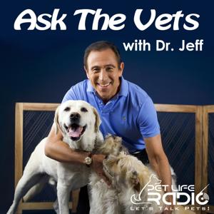 Ask the Vets with Dr. Jeff - Best Veterinary Podcast  - Pet Life Radio Original (PetLifeRadio.com)