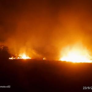 Prevención de incendios forestales