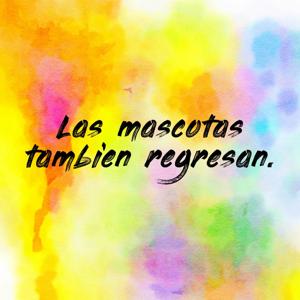 Las mascotas tambien regresan.
