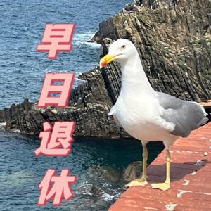 早日退休Retirement plan