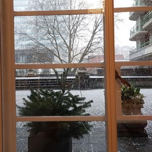 Gender stereotype, societal cultures and gender inequality in the workplace