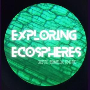 Exploring Ecospheres