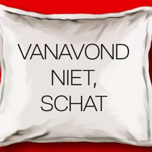 Vanavond niet, schat
