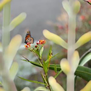 Growing In Grace