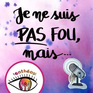 Je ne suis pas fou mais...