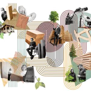 The Future of Timber