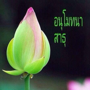 โกเอนก้า(โปรแกรม10วัน)