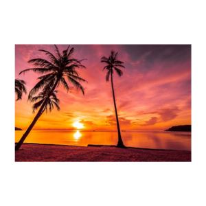 فخ الاستحقاق