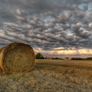 LA PIANURA PADANA