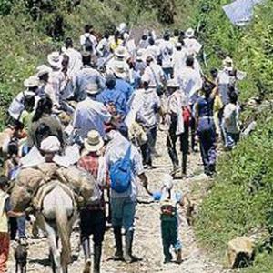 Gritos Silenciados: Desplazamiento