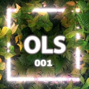 Organic Light Show