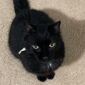 The World is a Spooky Place!