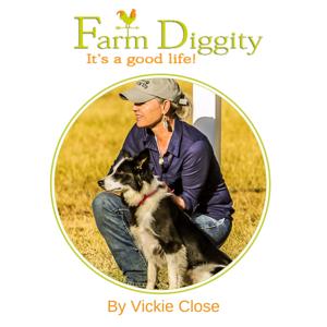 Farm Diggity