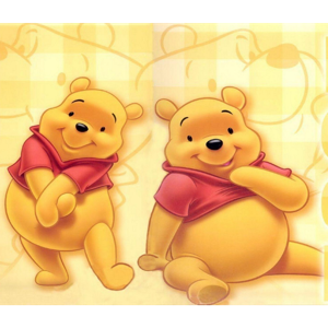 talk about your favorite books you like to read