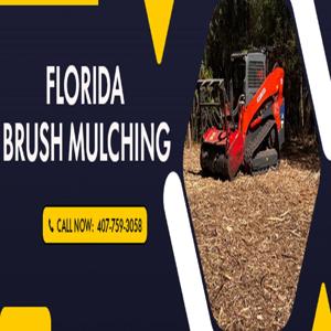 Land Clearing Services in Florida