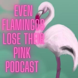 Even Flamingos lose their pink