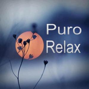 Música Relajante para Meditar, Leer, Estudiar.....
