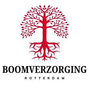 Boomverzorging Rotterdam