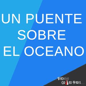 Un puente sobre el Oceano (de la Seina hasta las Cataratas d'iguazu !)