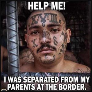 The Protection Project