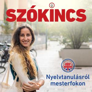 Szókincs- nyelvtanulásról mesterfokon