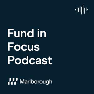 Fund in Focus - Professional