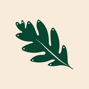 The Grove Church Messages