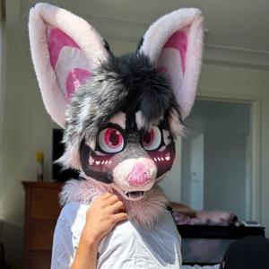 The Furry Fandom And Trans People