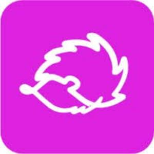 Edgehog Podcast