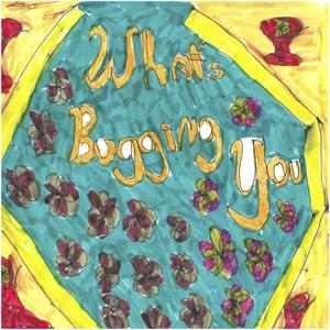 What’s Bugging you