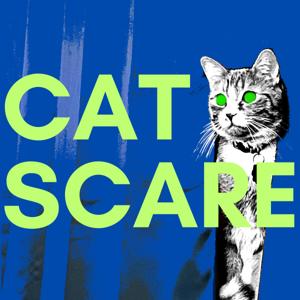 Cat Scare
