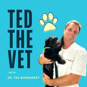 Ted The Vet : Expert Advice and Insightful Tips to Care for your Pets
