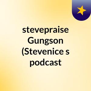 stevepraise Gungson (Stevenice's podcast