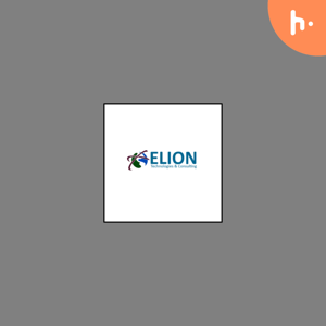 Elion Technologies & Consulting Pvt Ltd