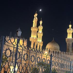 مهاترات عاقل