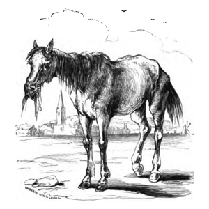 Rocinante's Stable