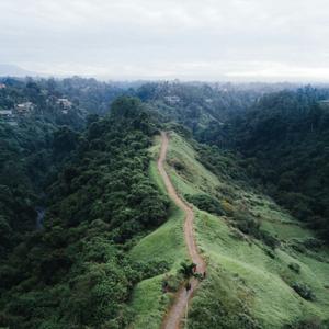 Making the Transition