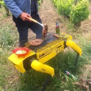 ROBODOG