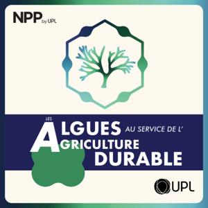 Les algues au service de l'agriculture durable